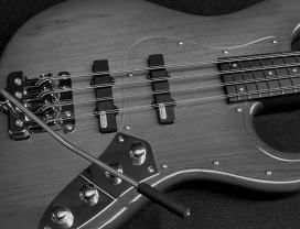 Double Course Strings Bass(副弦ベース/多弦ベース/8弦ベース/10弦 